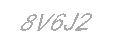Güvenlik Kodu