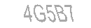 Güvenlik Kodu