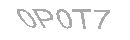 Güvenlik Kodu