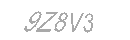 Güvenlik Kodu
