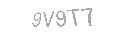 Güvenlik Kodu