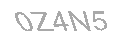 Güvenlik Kodu