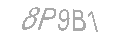 Güvenlik Kodu