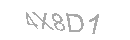 Güvenlik Kodu