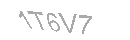 Güvenlik Kodu