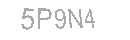 Güvenlik Kodu