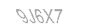 Güvenlik Kodu