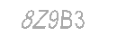 Güvenlik Kodu