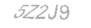 Güvenlik Kodu