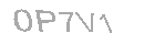 Güvenlik Kodu